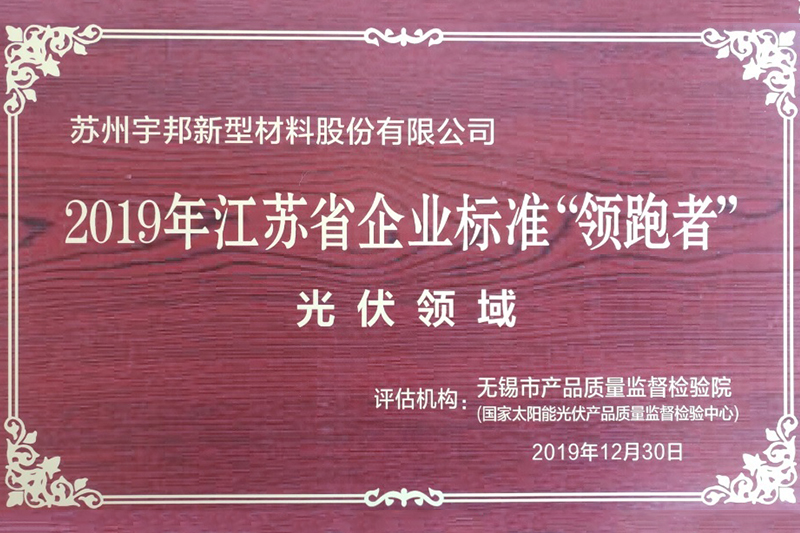 2019年江蘇省企業(yè)標(biāo)準(zhǔn)領(lǐng)跑者（光伏領(lǐng)域）